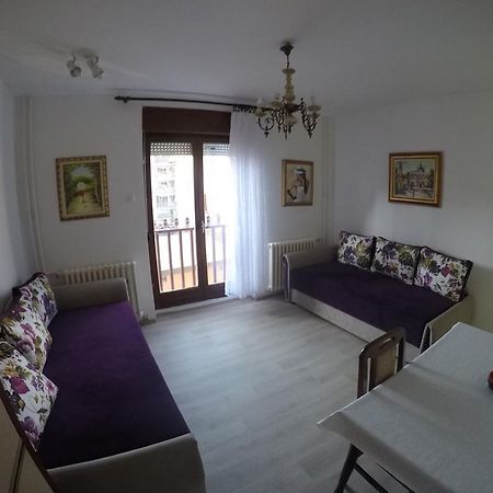 Violet Star Apartment Novi Sad Luaran gambar