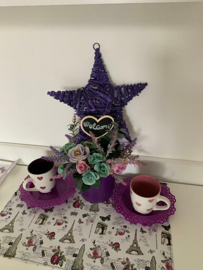 Violet Star Apartment Novi Sad Luaran gambar