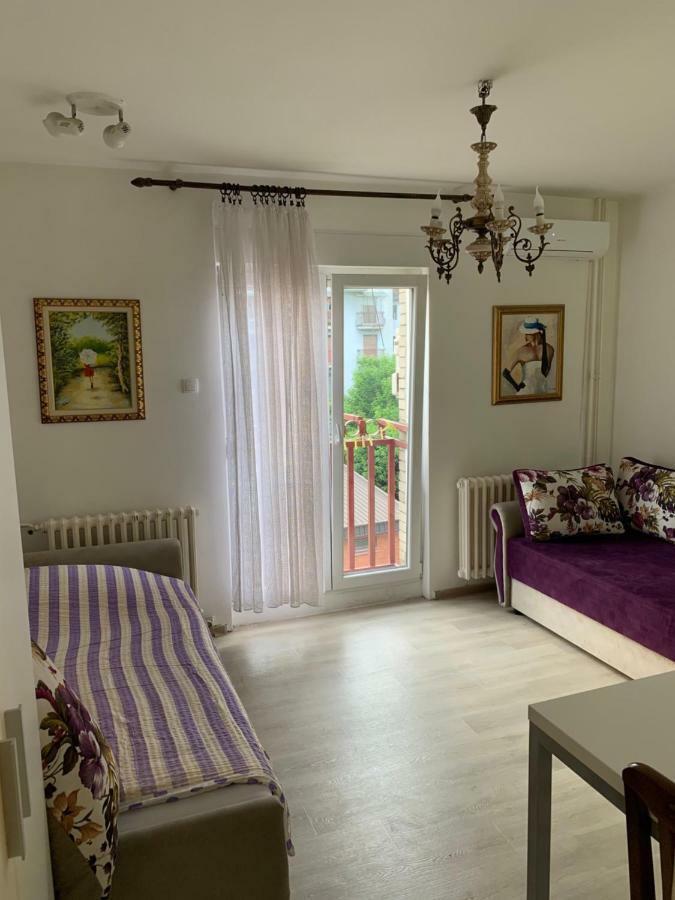 Violet Star Apartment Novi Sad Luaran gambar